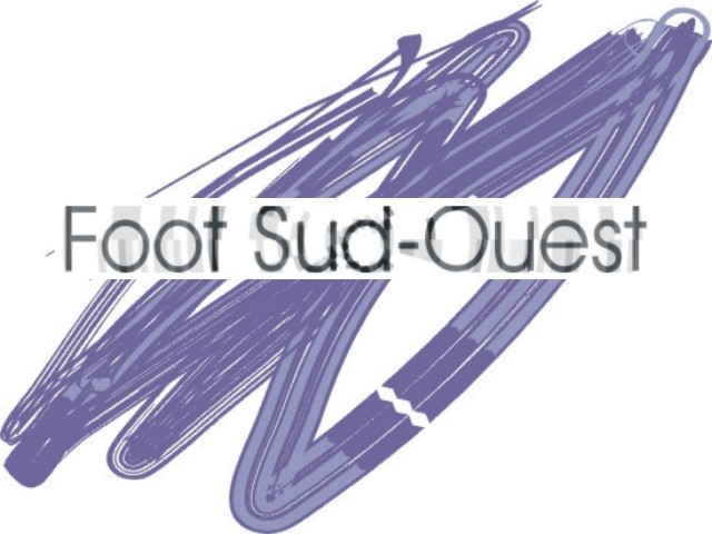Foot Sud-Ouest le site du Toulouse Football Club (photos,news,joueurs,tranferts,stadium,sondages,forum,mailing-list), de l'humour (photos,exe,vid�os,blagues,liens) et des t�l�chargements (skins winamp,vi�os,screensavers) footballistiques. Chargement du logo en cours, cliquez-le pour entrer